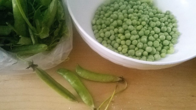 piselli (2)
