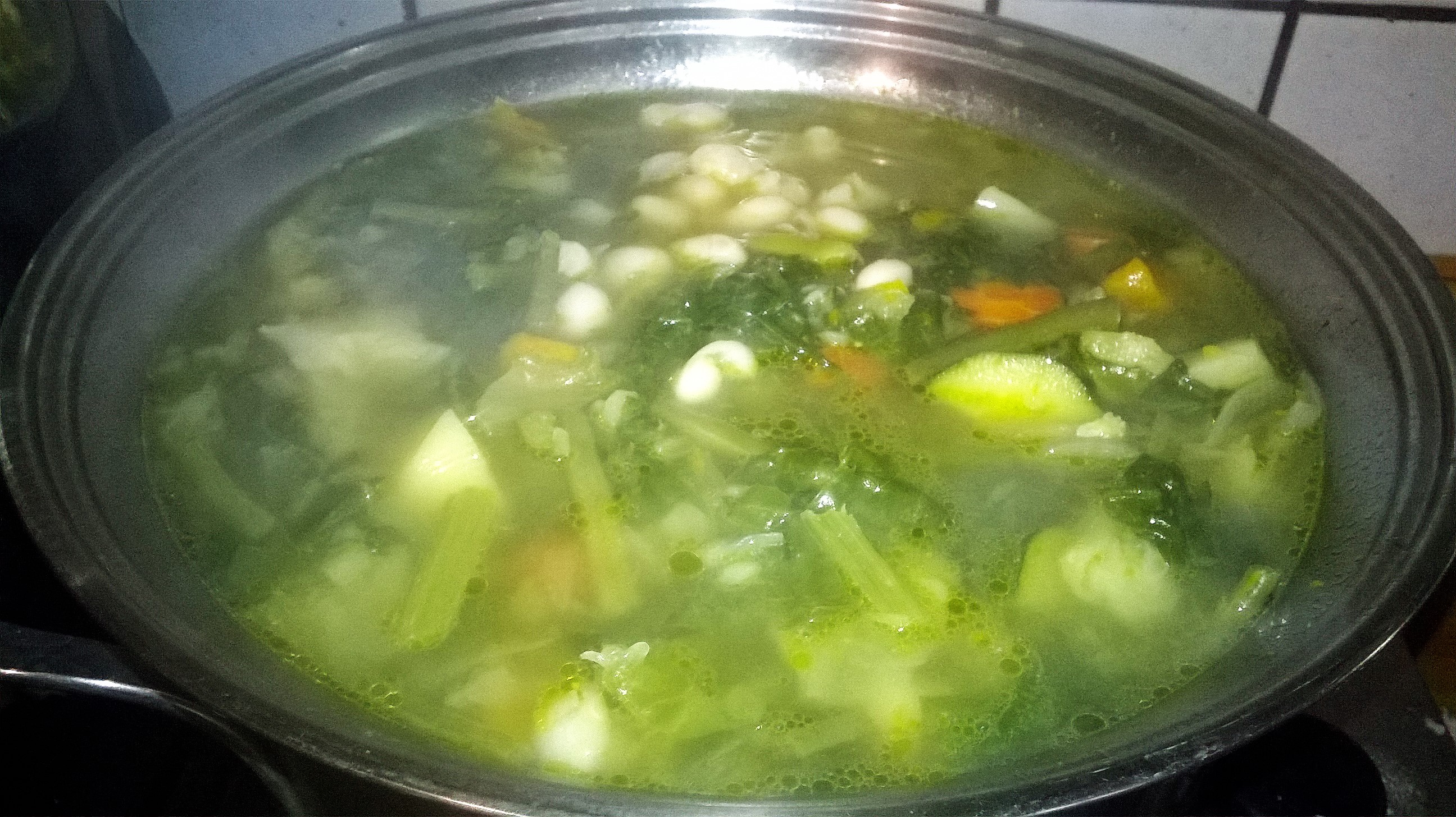 MINESTRONE (4)