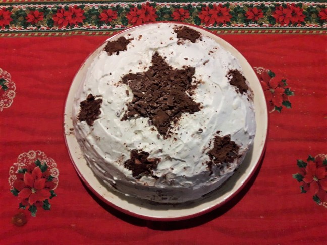 zuccotto di natale (10)